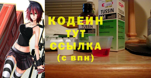 шишки Медногорск