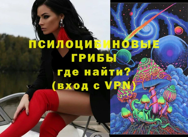 шишки Медногорск