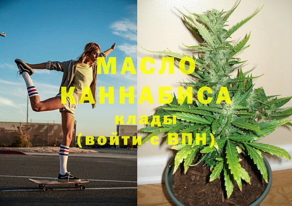 шишки Медногорск