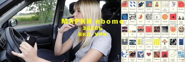 шишки Медногорск