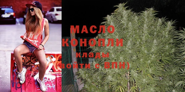 шишки Медногорск